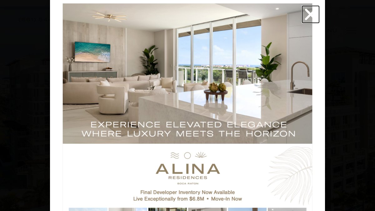 Screenshot of alinabocaraton.com interface