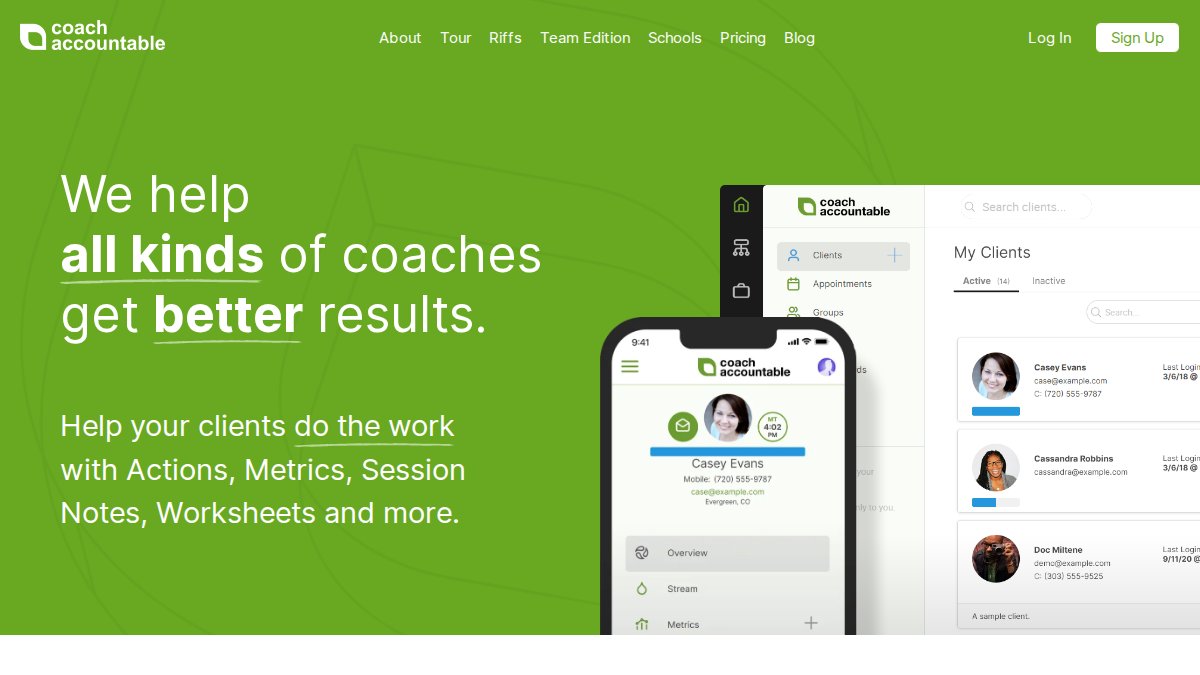 Screenshot of coachaccountable.com interface