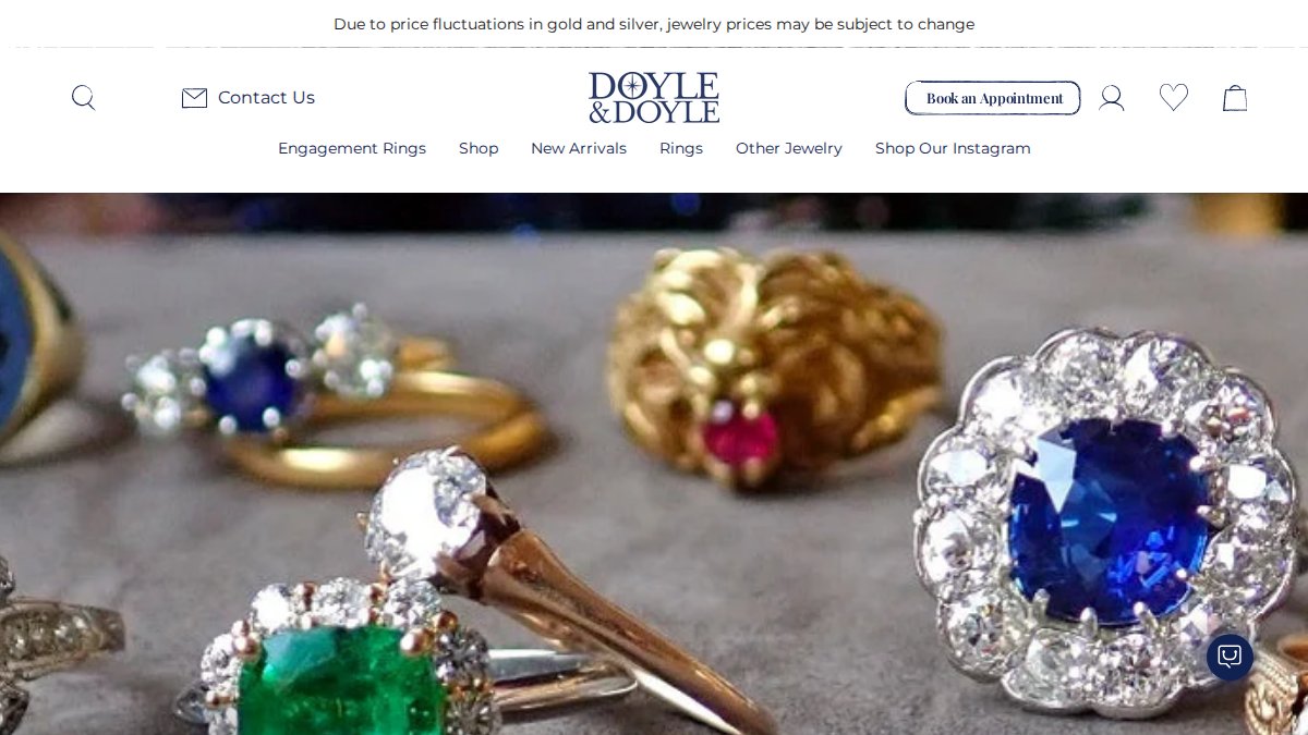 Screenshot of doyledoyle.com interface