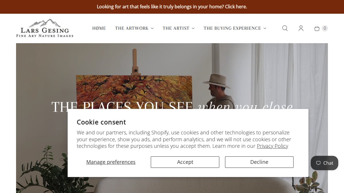 Screenshot of larsgesingfineart.com interface