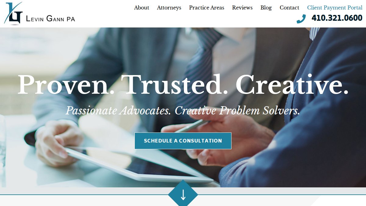 Screenshot of levingann.com interface