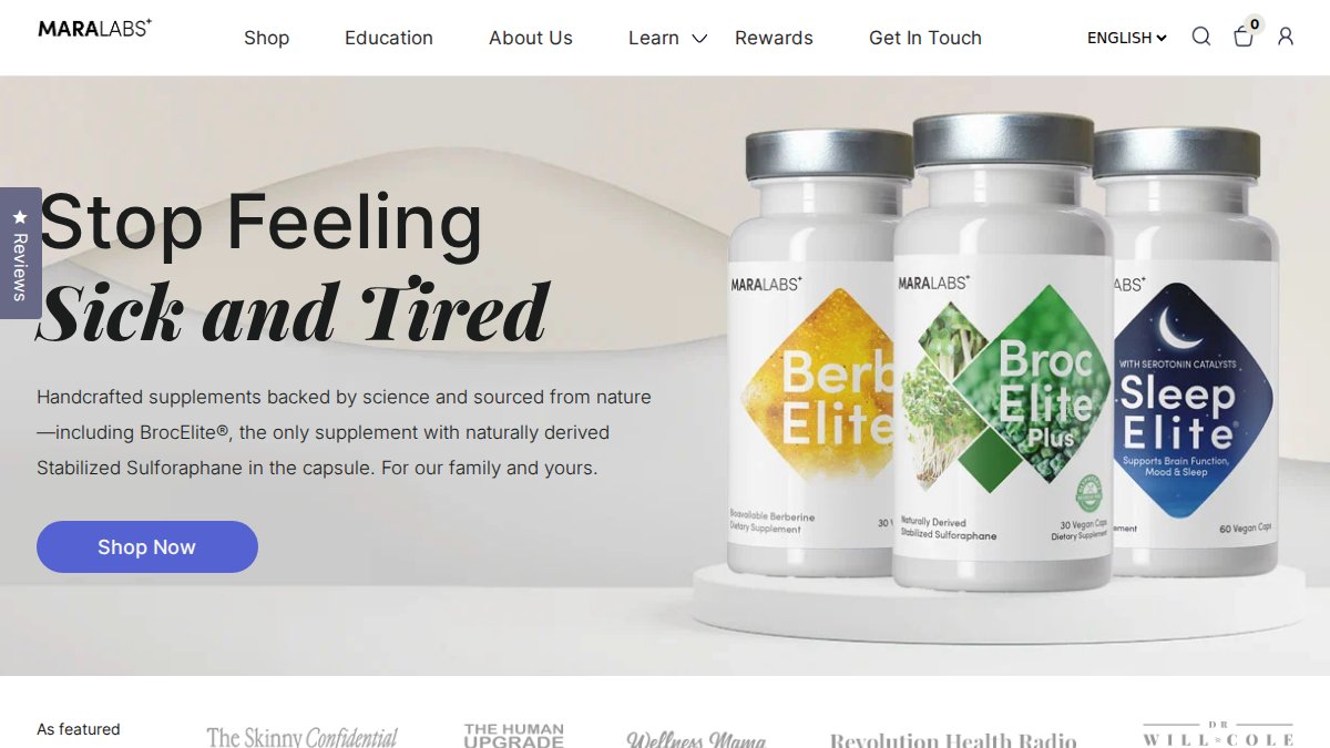 Screenshot of mara-labs.com interface