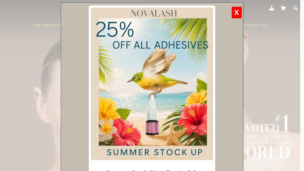 Screenshot of novalash.com interface
