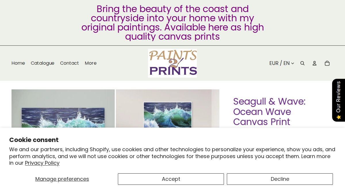 Screenshot of Seagull Wave page on paints2prints.myshopify.com