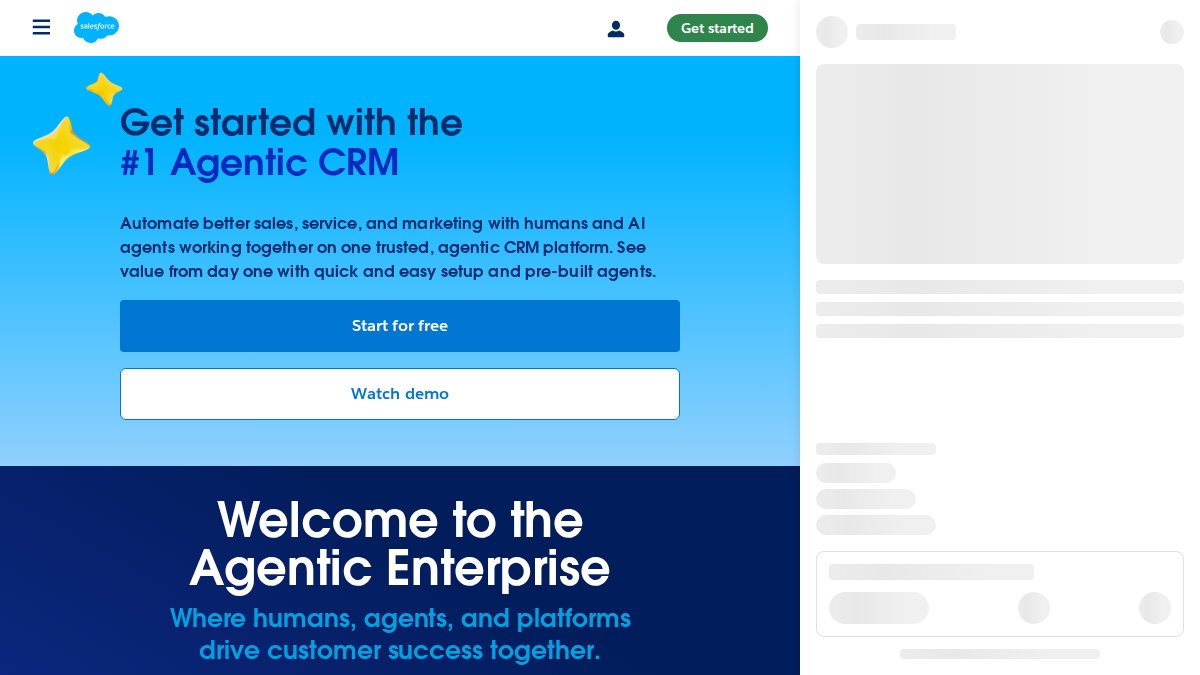 Screenshot of salesforce.com interface