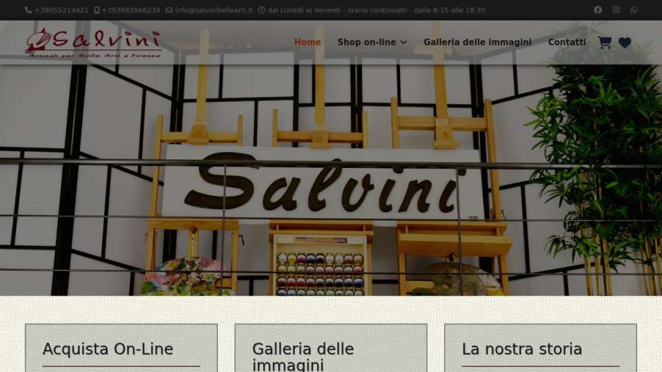 Screenshot of salvinibellearti.it interface