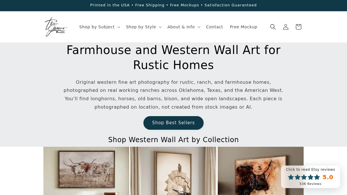 Screenshot of terijames.com interface