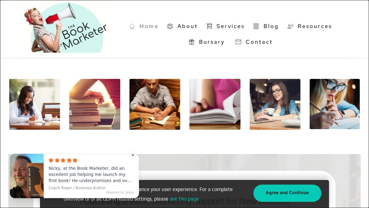 Screenshot of thebookmarketer.pro interface