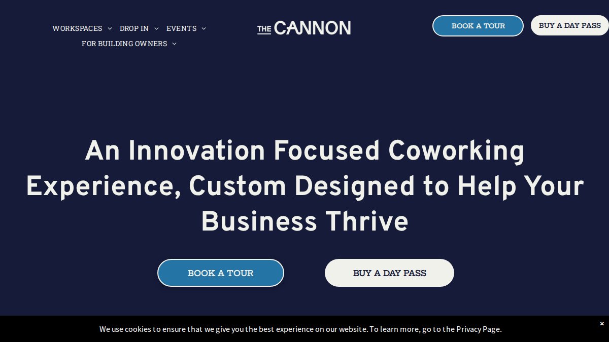 Screenshot of thecannon.com interface