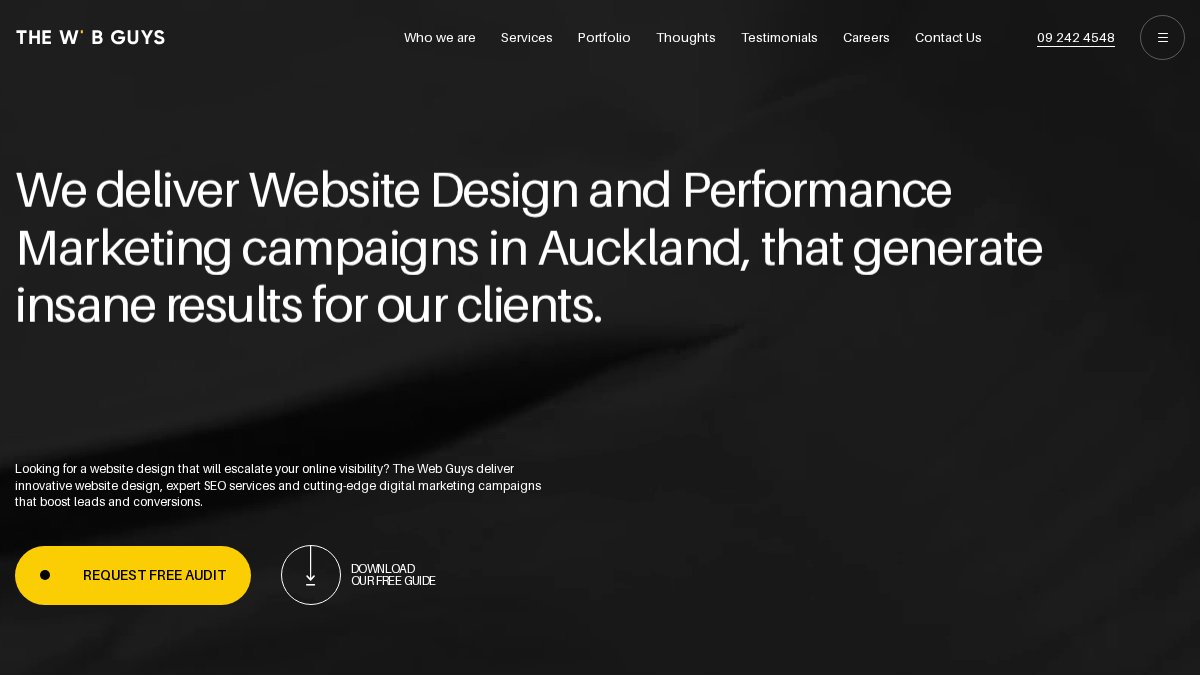 Screenshot of thewebguys.co.nz interface