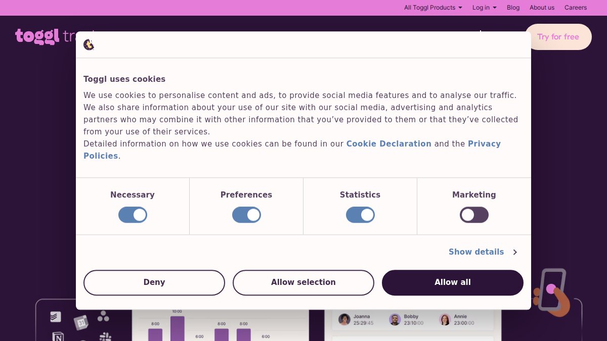 Screenshot of Track page on toggl.com