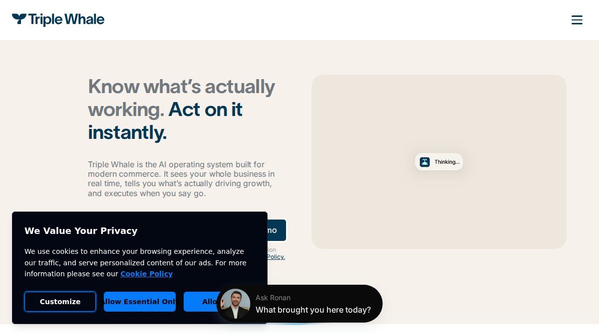 Screenshot of triplewhale.com interface