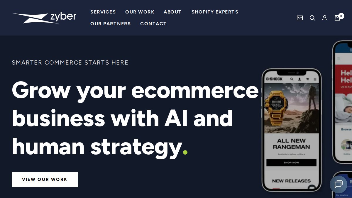 Screenshot of zyber.co.nz interface